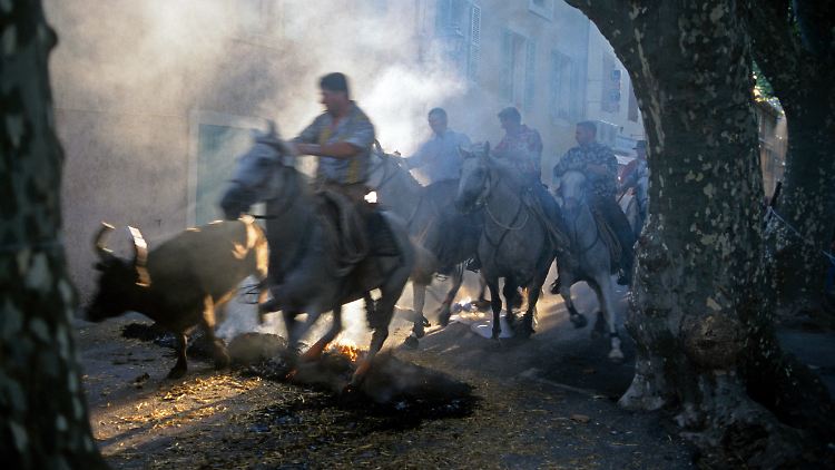 In bestimmten Regionen Frankreichs ist die Stierkampftradition weiterhin lebendig, zugleich aber umstritten. 