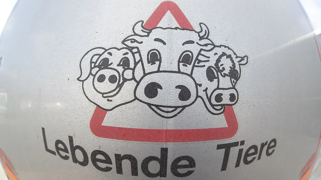 Lebende-Tiere-steht-auf-einem-Tiertransporter-bei-einer-Kontrolle-auf-der-A33-durch-Beamte-der-Polizeidirektion-Osnabrueck