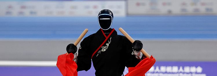 ... nur Roboter mit einer menschenähnlichen Gestalt teil. 