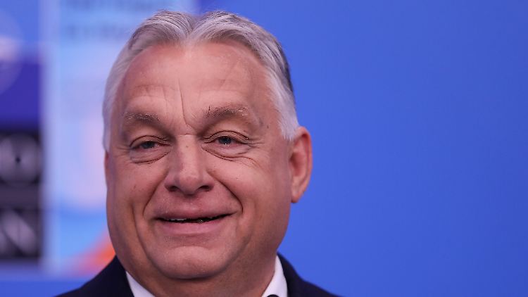 Nannte die Ukraine bereits vor dem Alaska-Gipfel Kriegsverlierer: Ungarns Ministerpräsident Viktor Orban.