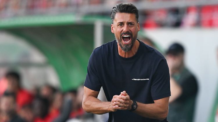 Musste von der Seite noch viel korrigieren: Sandro Wagner.