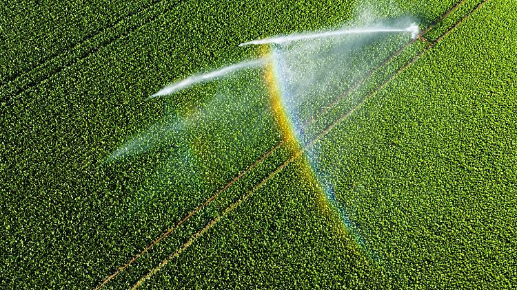 Nicht einmal fünf Prozent der landwirtschaftlichen Fläche kann bewässert werden.