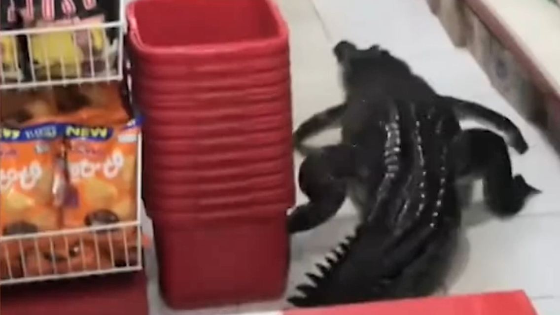 Unbenannt.jpg
