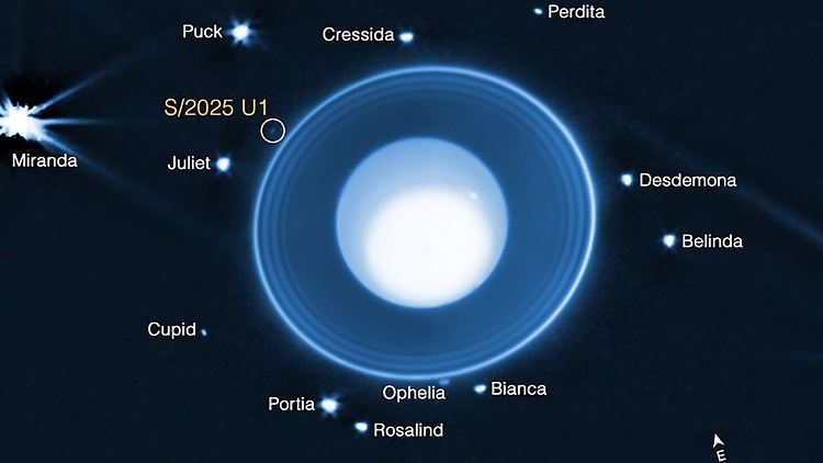 Grafik auf Basis von James-Webb-Daten: Uranus mit seinen Ringen und bekannten Monden. Eingekreist ist der neu entdeckte, nur rund zehn Kilometer große Mond S/2025 U1.