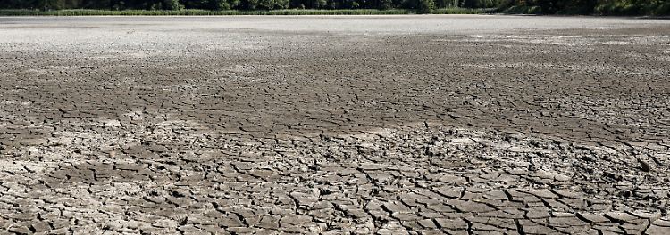 Neben Wäldern und Gletschern fallen auch immer mehr Flüsse und Seen dem Klimawandel zum Opfer - zum Beispiel dieser Teich in Brandenburg. "Wie der Wasserstand in einem See ist, ...