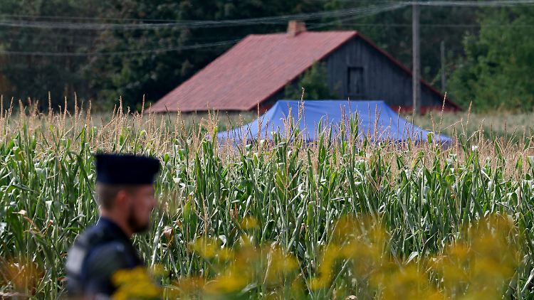 Die Drohne stürzte mitten in ein Maisfeld - Sicherheitskräfte durchsuchen das Gelände.