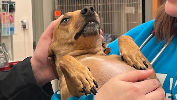 Screenshot 2025-08-20 184329.png