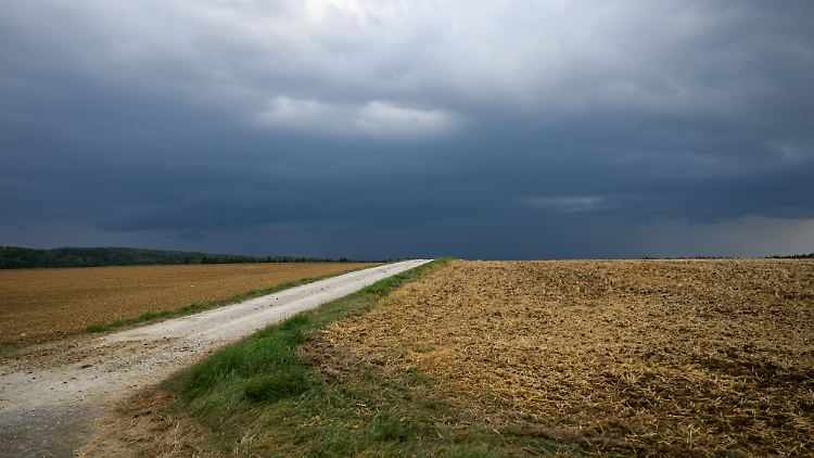 Düstere Aussichten für Sonnenanbeter.