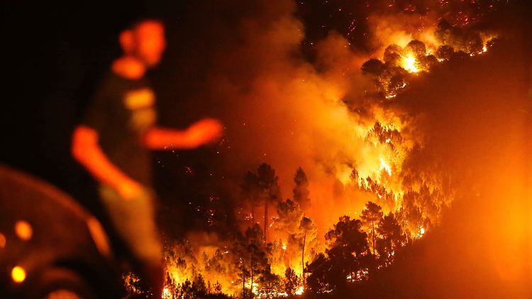 In der spanischen Region Galicien kämpfen Feuerwehrleute noch immer gegen die Flammen an.