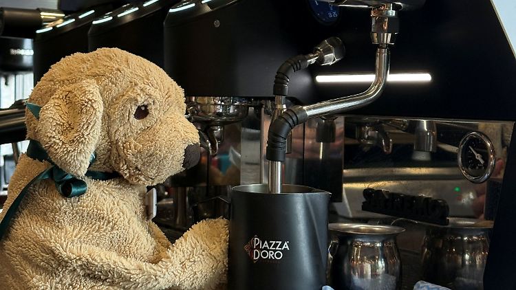 Jack an der Kaffeemaschine, nur eins von vielen Motiven.