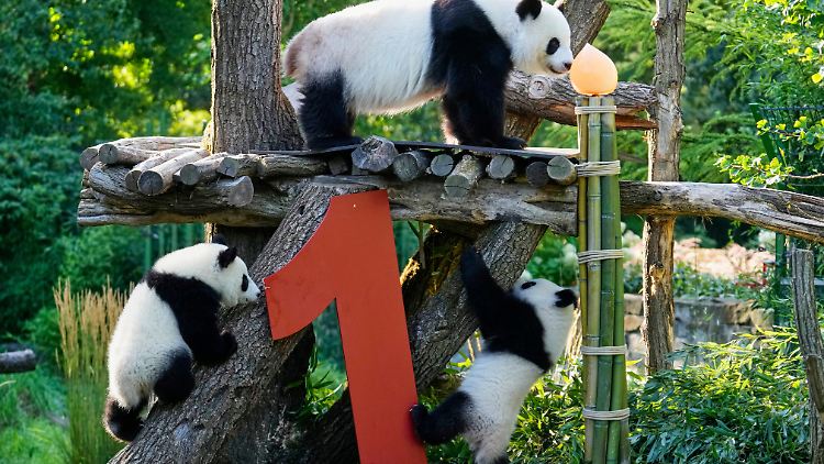 Leni und Lotti mit ihrer Mutter. 