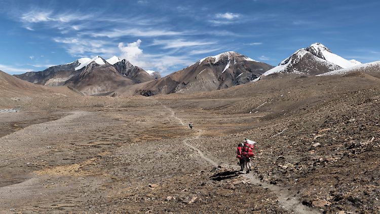 Sherpas haben sich hervorragend an die besonderen Umstände im Himalaja angepasst.
