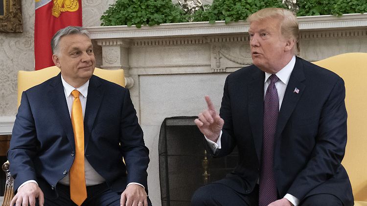 "Du bist mein guter Freund", schreibt Trump an Orban. 
