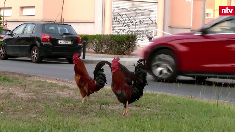 Screenshot 2025-08-24 080020.png