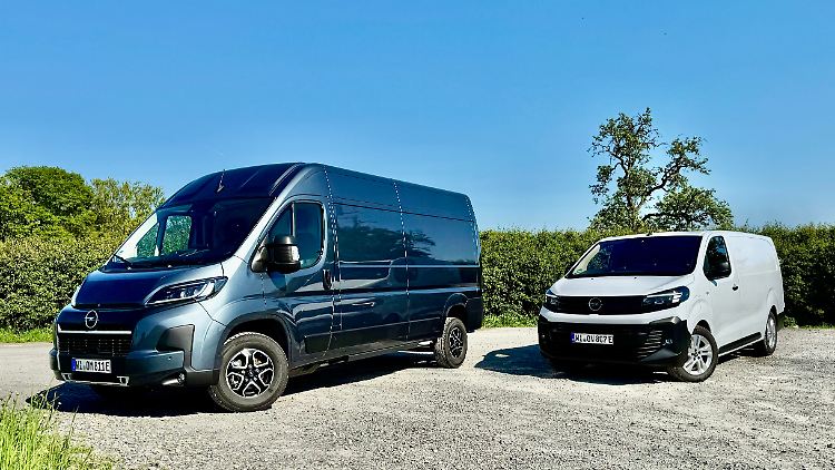Hier die beiden geschlossenen Nutzfahrzeuge unter sich. Der Movano mutet riesig an im Vergleich zum schon nicht kleinen Vivaro.