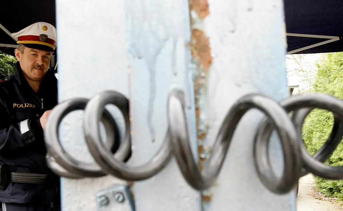 2008-05-01T120000Z-1900327062-BM2E4510ZXN01-RTRMADP-3-AUSTRIA-ABUSE