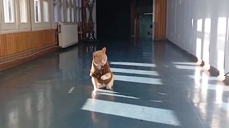 Screenshot 2025-08-26 152814.png