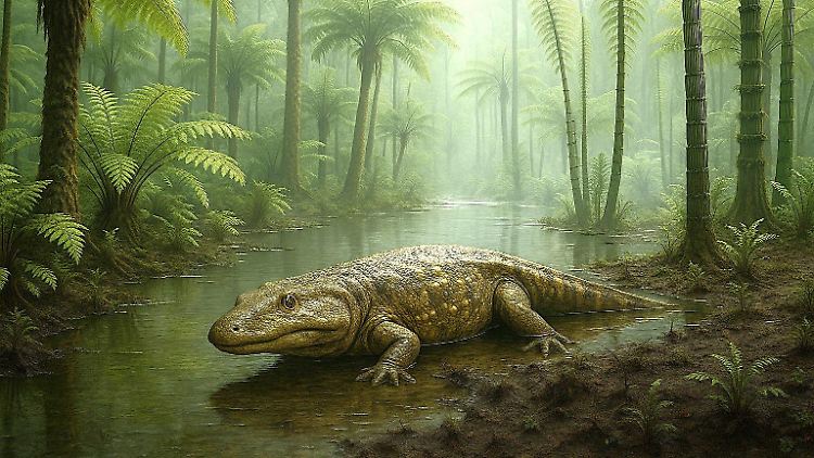 Vor mehr als 200 Millionen Jahren gingen in Bayern riesige Lurche wie Cyclotosaurier auf Beutefang.
