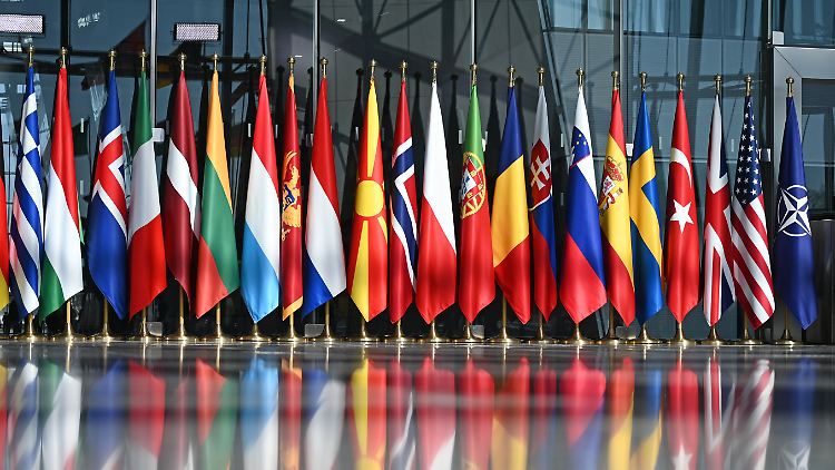 Die Fahnen aller Nato-Mitgliedsstaaten.