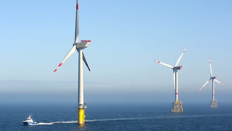 Offshore-Windparks müssten in den nächsten Jahren massiv ausgebaut werden, um die Versorgung zu sichern.