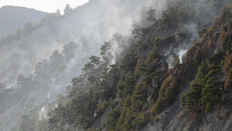 Russland veröffentlicht ein Video von brennenden Bäumen, aschebedeckten Böden und einem Löschhubschrauber.