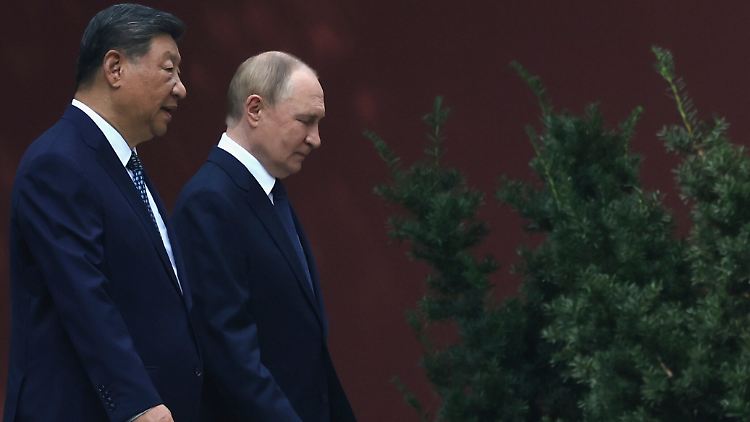 Betonen, wie gut sie sich verstehen: Xi und Putin.