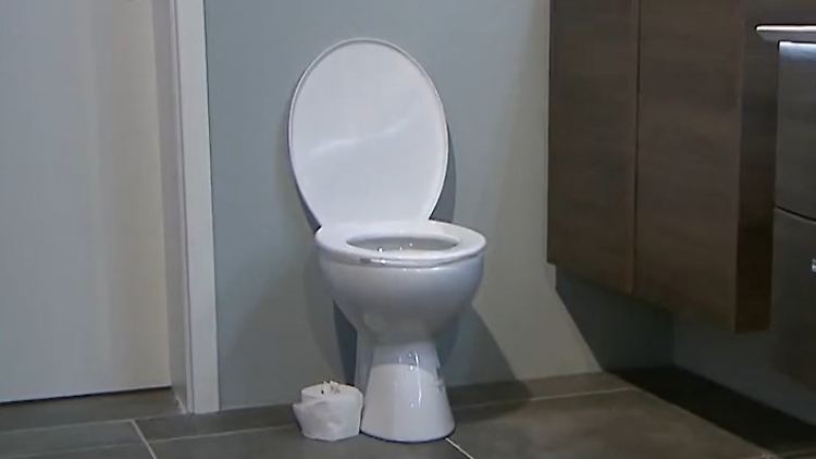 toilette_Screenshot 2025-09-02 145032.jpg