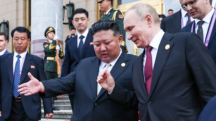 Wollen ihre Beziehung weiter vertiefen: Kim und Putin.