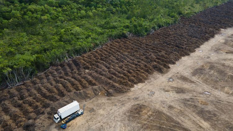 Seit 1985 verschwanden im Amazonas Naturflächen, die größer als Spanien sind.