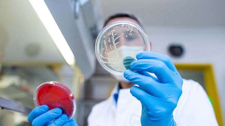 Die Erkrankung tritt in der Regel drei bis vier Tage nach der Ansteckung auf. Meist geht es mit wässrigem Durchfall los. Auch Übelkeit, Erbrechen und Bauchschmerzen können Symptome sein.