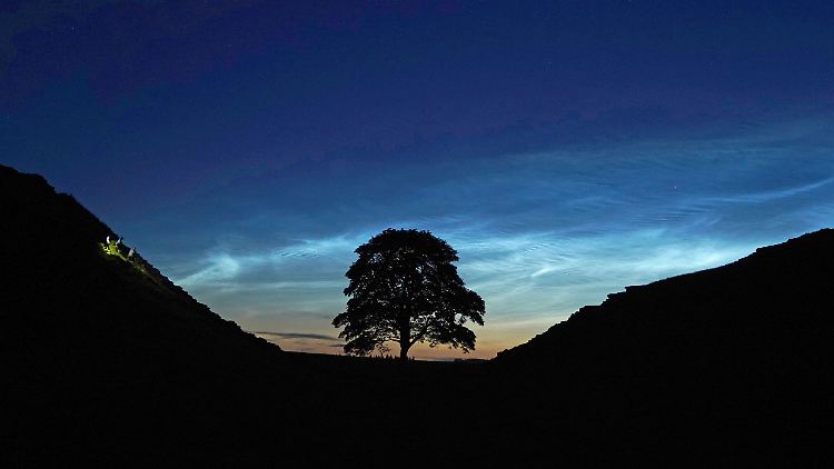 Malerischer Anblick: Besonders unter Fotografen war das Motiv des "Sycamore Gap Tree" beliebt. So sieht er seit der Fällung leider nicht mehr aus.