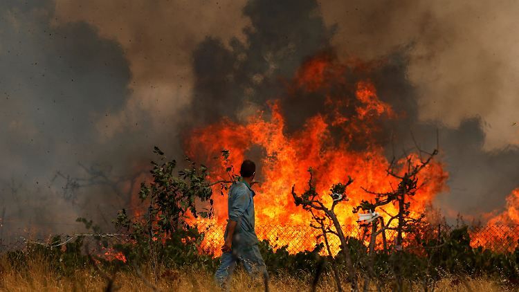 Spanien trafen zuletzt beispiellose Waldbrände: Seit Jahresbeginn wurden 380.000 Hektar zerstört.
