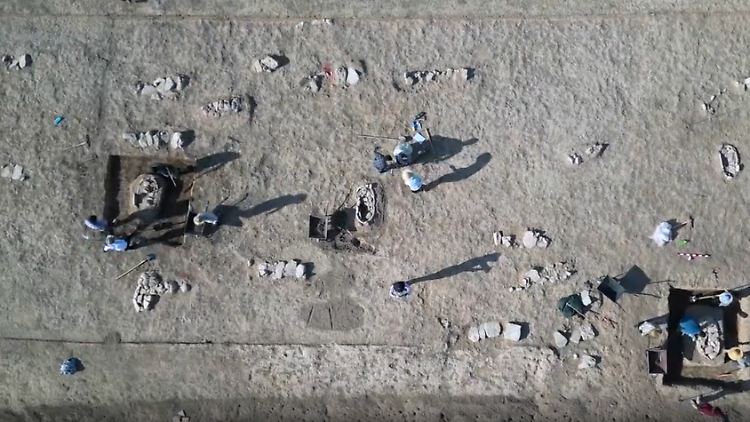 Screenshot 2025-09-04 191957.png