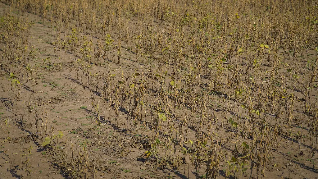 4cf26169887838080f55058296e94cda