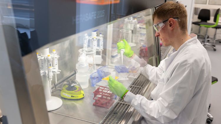 Biontechs Krebsmittel Trastuzumab Pamirtecan ist ein Antikörper-Wirkstoff.
