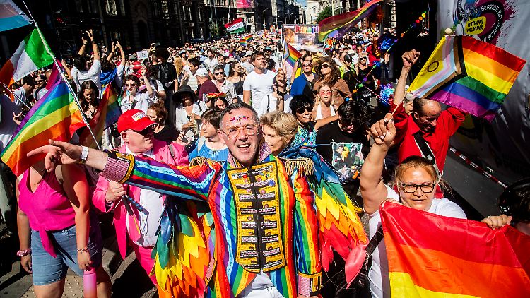 Hunderttausende feierten die Pride Parade in Budapest trotz des Verbots - auch in der südungarischen Stadt Pecs regt sich Widerstand.