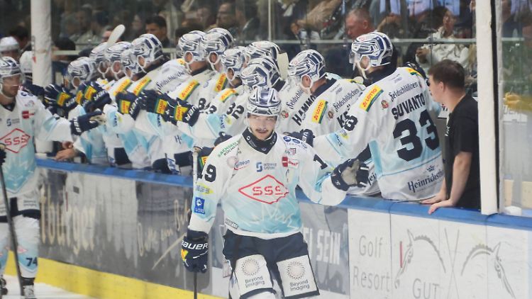 Die Dresdner Eislöwen wollen die DEL aufmischen.