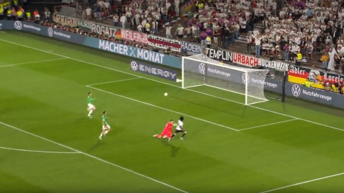 dfb.jpg