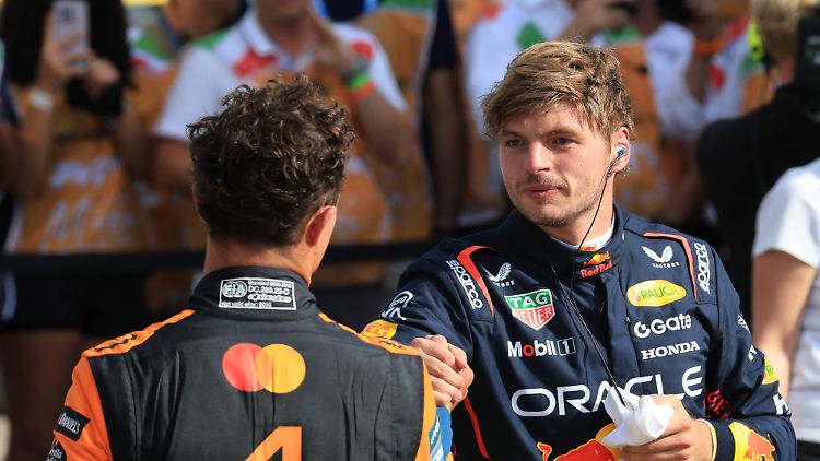 Max Verstappen hat es mal wieder allen gezeigt.