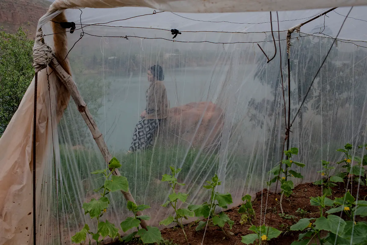 011-World-Press-Photo-Long-Term-Project-Award-Anush-Babajanyan-VII-Photo-National-Geographic-Society