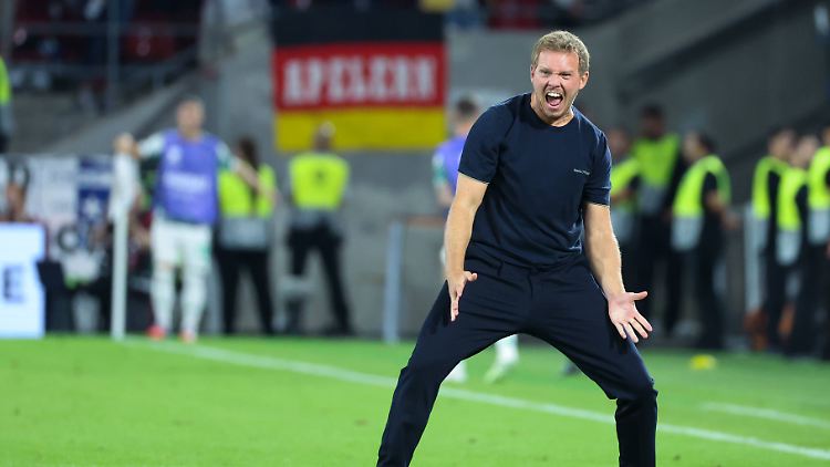 Was der Fan Julian Nagelsmann wohl über die Aussagen des Bundestrainers Julian Nagelsmann denken würde?