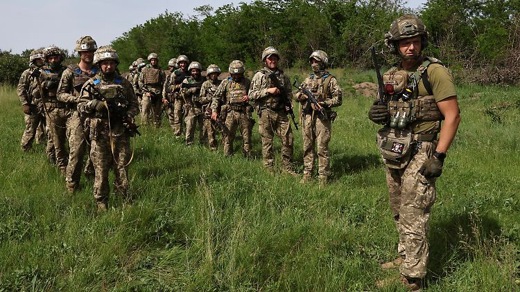 Ukrainische Soldaten der 65. mechanisierten Brigade während einer Übung in der Region Saporischschja. 