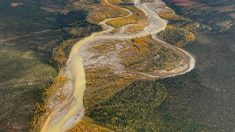 Die Luftaufnahme zeigt den Hauptstrom des Salmon Rivers.