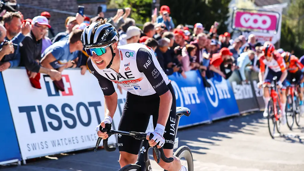 36f865b6d02c9cadeb4a83e57ae50b67