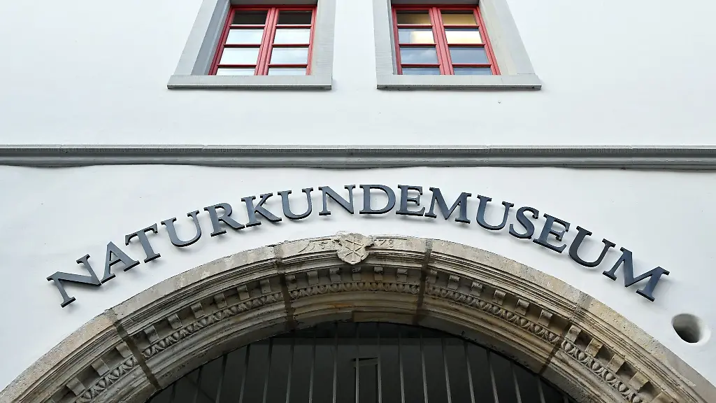 Der-Eingang-zum-Naturkundemuseum-Erfurt