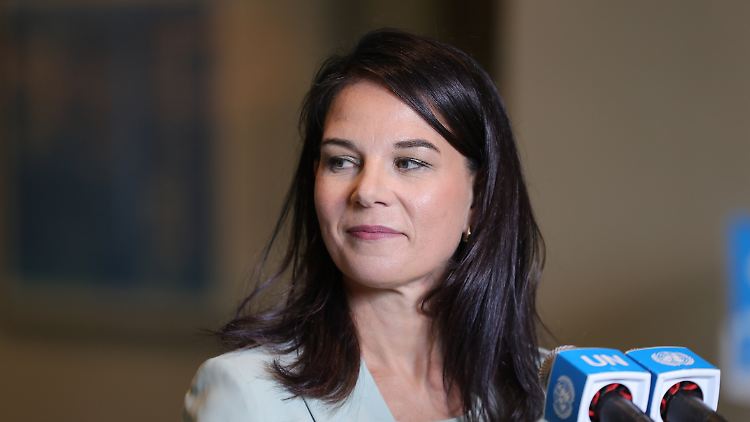 Annalena Baerbock in New York bringt den Kolumnisten in Rage.