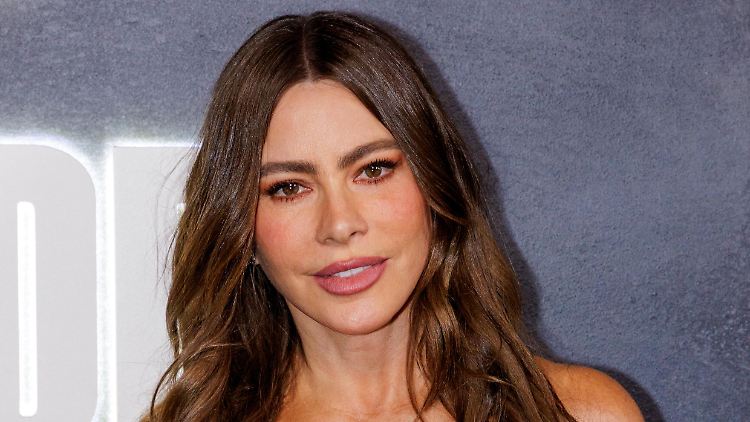 Vergara wurde selbst in der Vergangenheit bereits mehrfach für einen Emmy nominiert. 