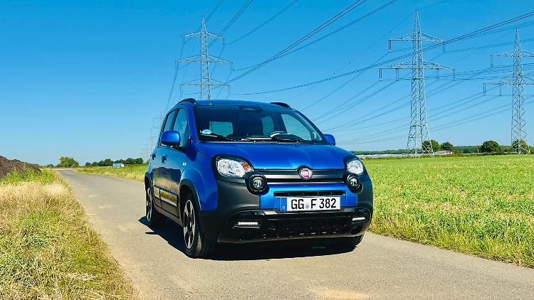 Dank Kulleraugen-Design hat sich der Fiat Pandina sein lieb anmutendes Kindchen-Schema-Design auch in der jüngsten Ausbaustufe erhalten.