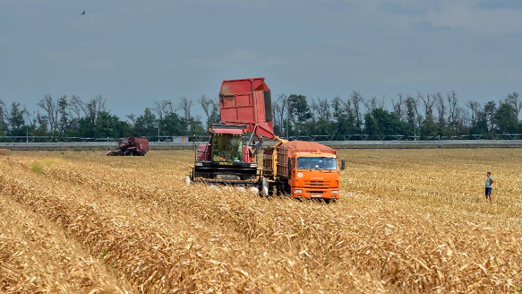 Russischer Weizen wurde gegen chinesische Autos getauscht.