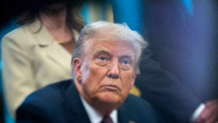 US-Präsident Donald Trump will nach eigenen Angaben die "New York Times" verklagen.